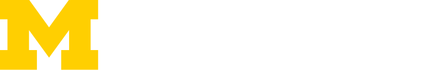 Institute for Energy Solutions